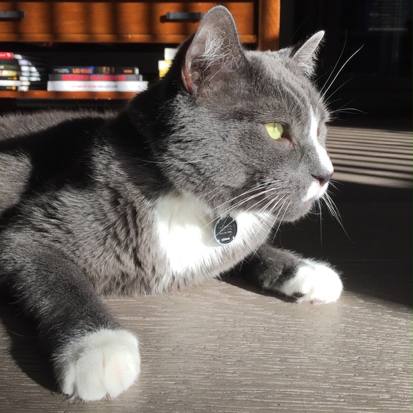 Meet your Posher, Karen - Picture 9 of 9